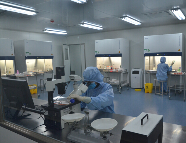 293T贴壁复苏细胞系价格 产地:上海张江高科技园区 品牌:ATCC、DSMZ、RIKEN等细胞库 厂家:上海霆跃生物科技